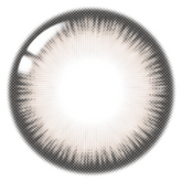 Lenstown Scotch 3color Gray (2 Pack)